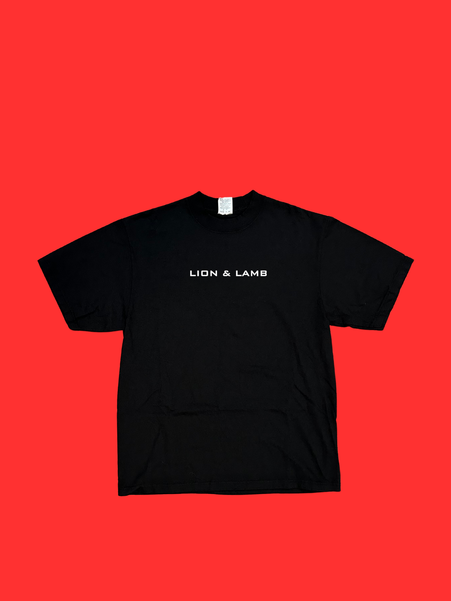 LION & LAMB Oversized heavyweight T-shirt